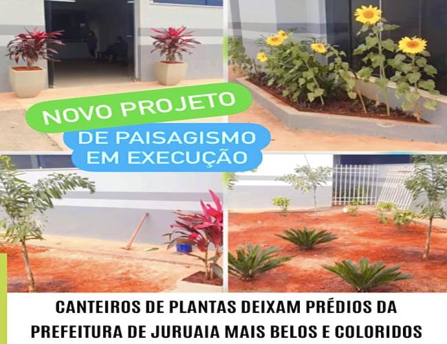 CANTEIROS DE PLANTAS DEIXAM PRÉDIOS DA PREFEITURA DE JURUAIA MAIS BELOS E COLORIDOS