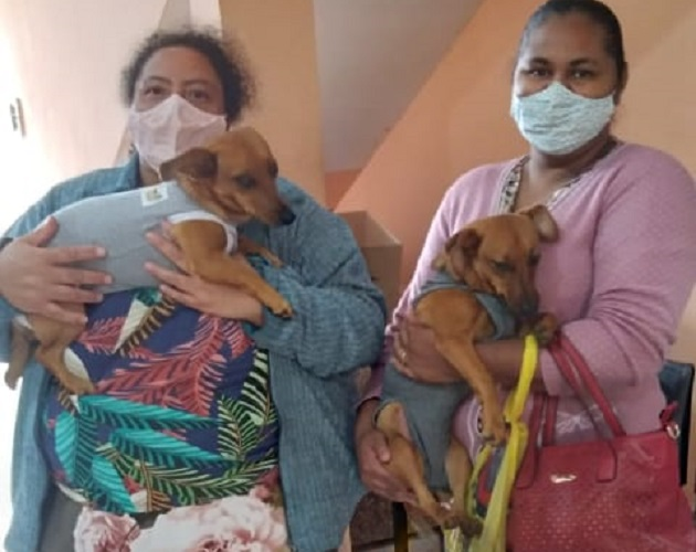PREFEITURA DE JURUAIA REALIZA CASTRAÇÃO DE ANIMAIS