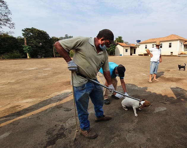 Vigilância em Saúde imuniza mais de mil animais contra a raiva em Juruaia