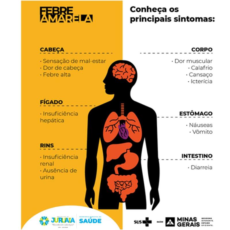 FEBRE AMARELA – TRANSMISSÃO E SINTOMAS