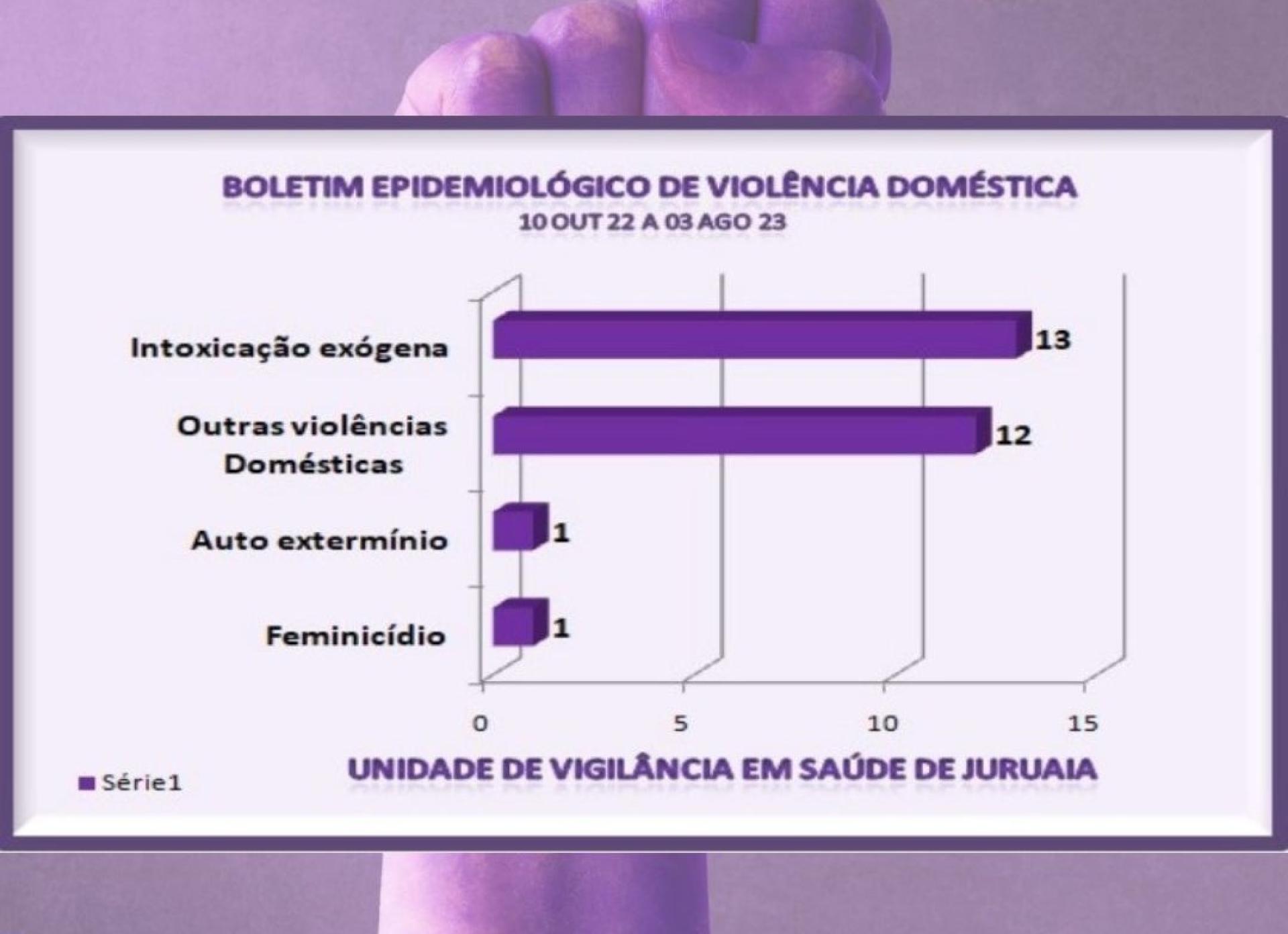 BOLETIM EPIDEMIOLÓGICO DE VIOLÊNCIA DOMÉSTICA EM JURUAIA