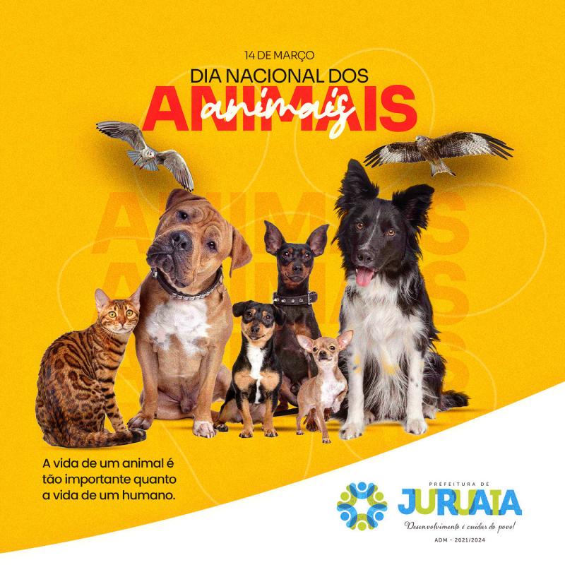 14 DE MARÇO - DIA NACIONAL DOS ANIMAIS