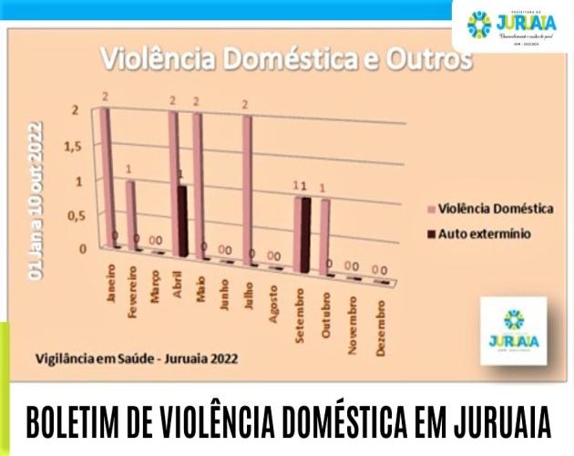 BOLETIM DE VIOLÊNCIA DOMÉSTICA EM JURUAIA