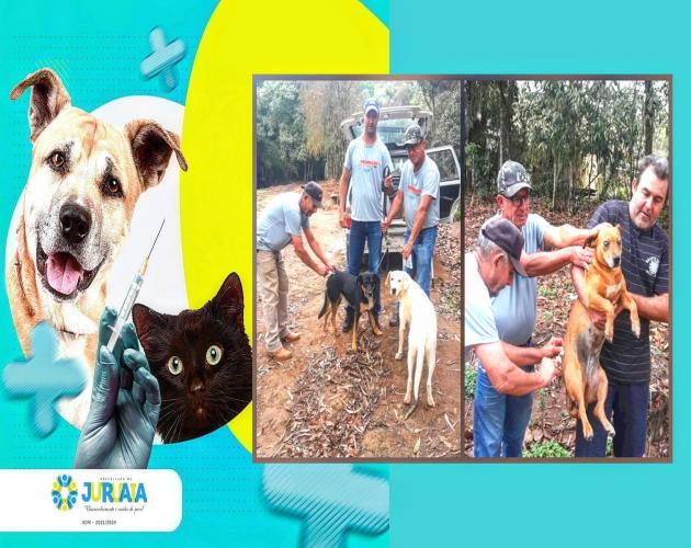 RESULTADO PARCIAL: VACINAÇÃO DE CÃES E GATOS NA ZONA RURAL