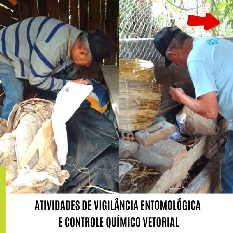 ATIVIDADES DE VIGILÂNCIA ENTOMOLÓGICA E CONTROLE QUÍMICO VETORIAL