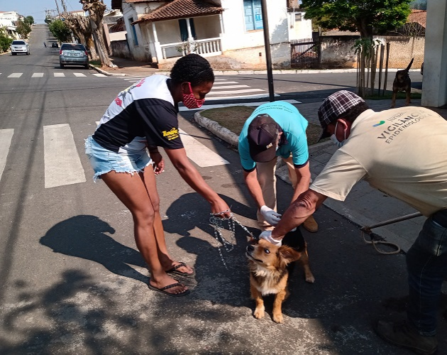 Campanha de Vacinação contra a Raiva imuniza mais de 3 mil animais em Juruaia