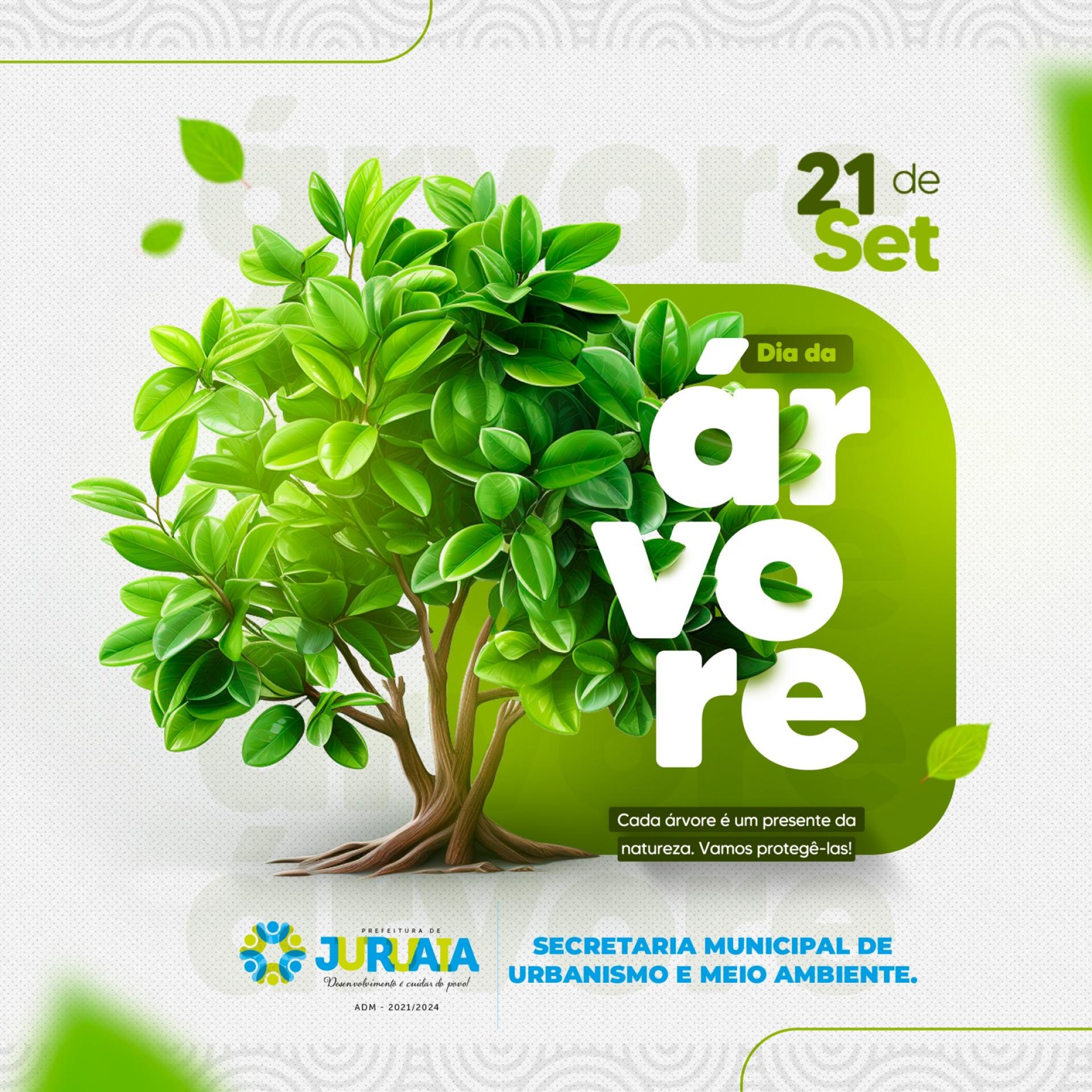 21 DE SETEMBRO – DIA DA ÁRVORE