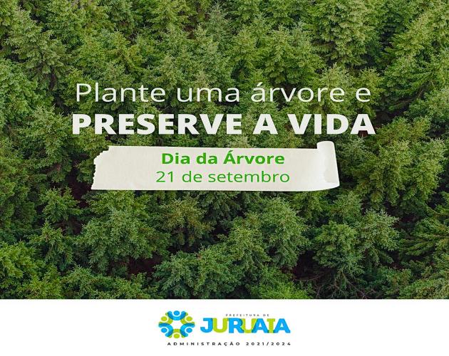 21 DE SETEMBRO - DIA DA ÁRVORE