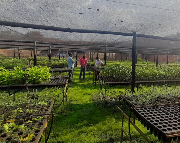 SECRETÁRIOS VISITAM NÚCLEO DE EDUCAÇÃO AMBIENTAL, DA COOXUPÉ, PARA CRIAÇÃO DE VIVEIRO EM JURUAIA